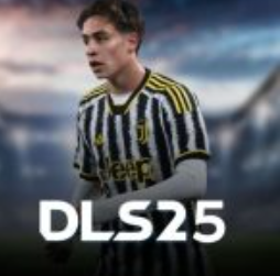  DLS 2025 APK