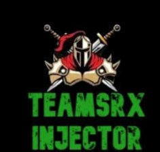  ‌TeamSRX Injector